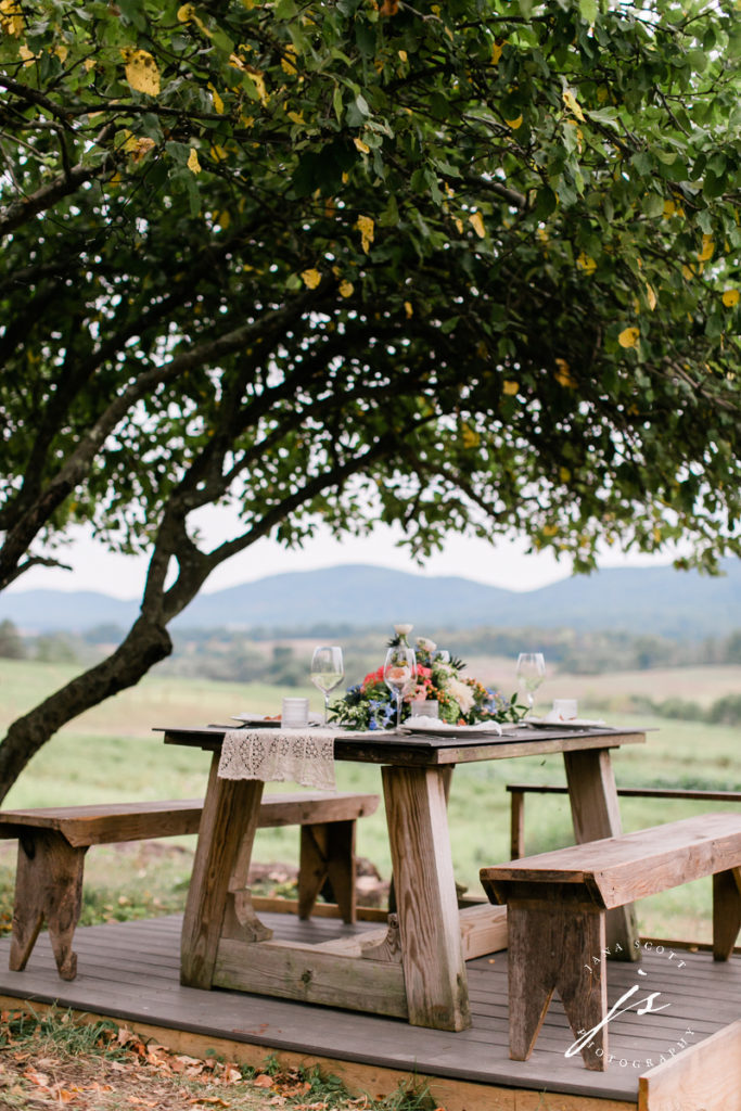 picnic table wedding reception