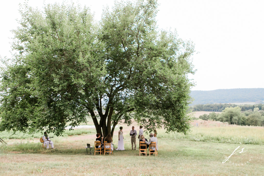 overall shot of the ceremony under a tree