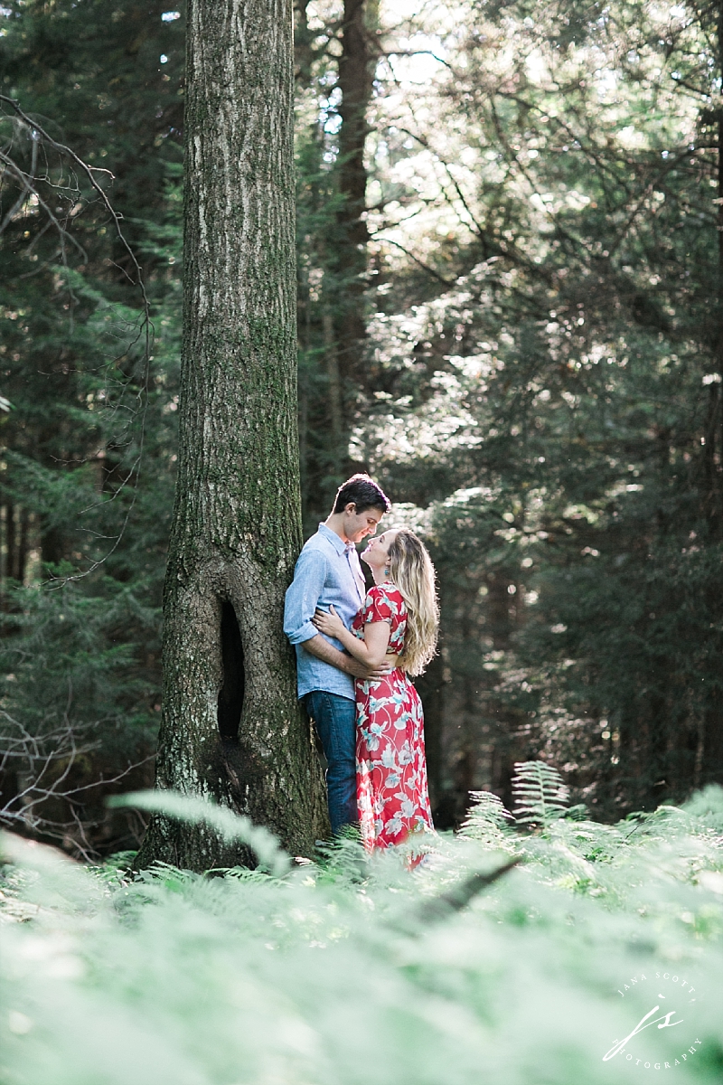 engaged couple suggles near a tree