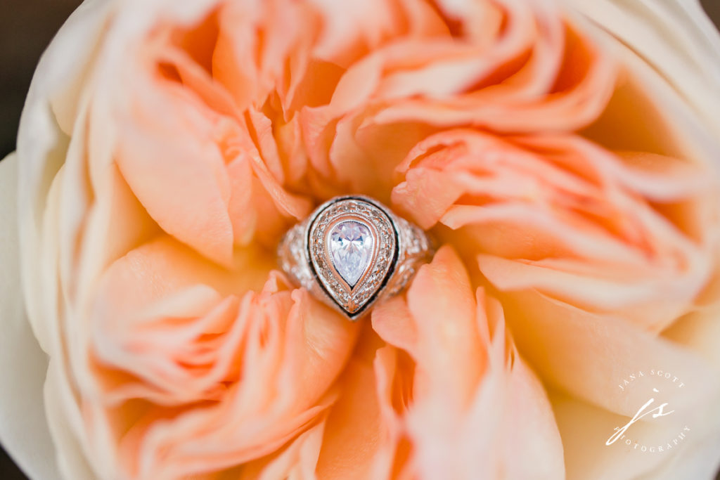 Brides engagement ring in david austin rose
