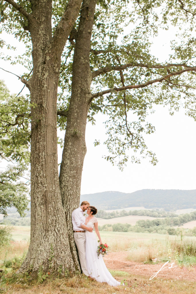bride and groom kissing under a tree that looks out over a valley