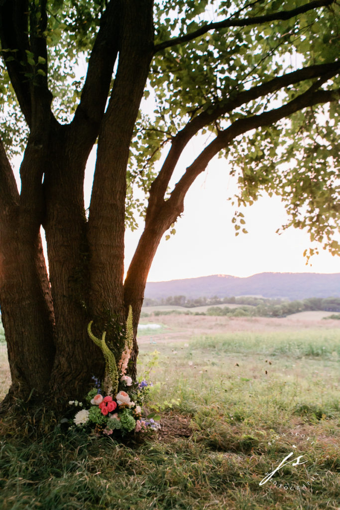 ceremony site with view of the mountains